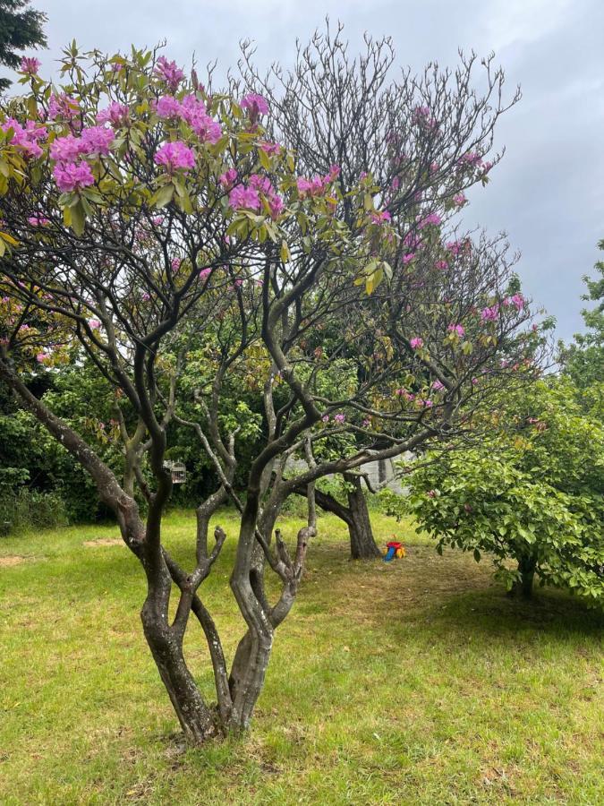 Hostal Das Hause Puerto Varas Buitenkant foto